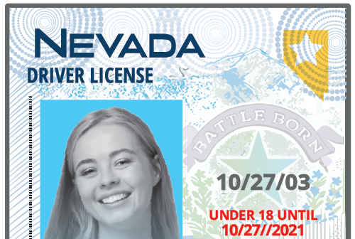 Nevada driver's license cropped