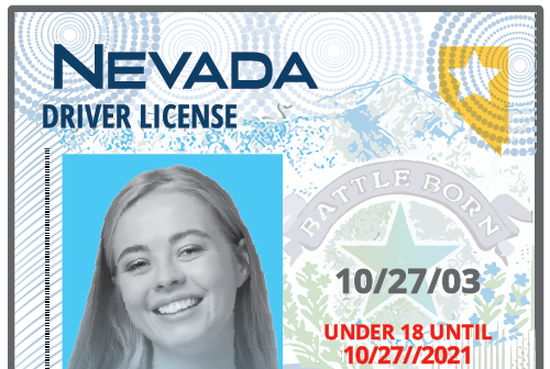 Nevada driver's license cropped